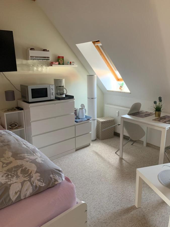 Apartment Am Goethe Park Γιένα Εξωτερικό φωτογραφία